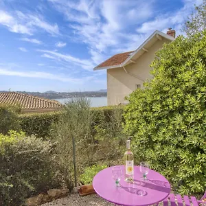 Vanille - Ban135 Bandol